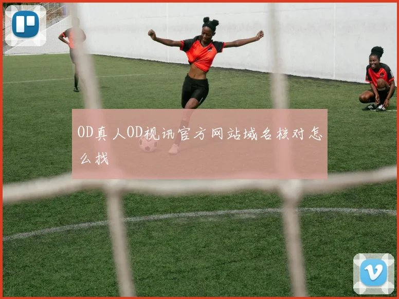 OD真人OD视讯官方网站域名核对怎么找
