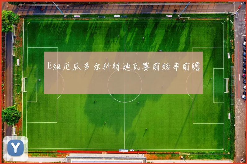 E组厄瓜多尔科特迪瓦赛前赔率前瞻