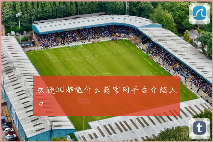 欢迎od都嗑什么药官网平台介绍入口
