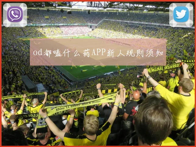 od都嗑什么药APP新人规则须知