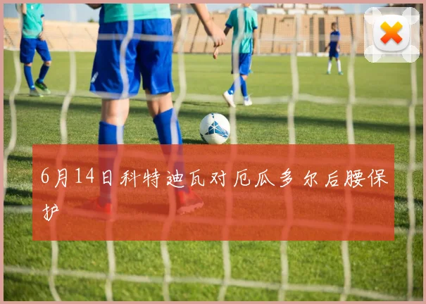 6月14日科特迪瓦对厄瓜多尔后腰保护